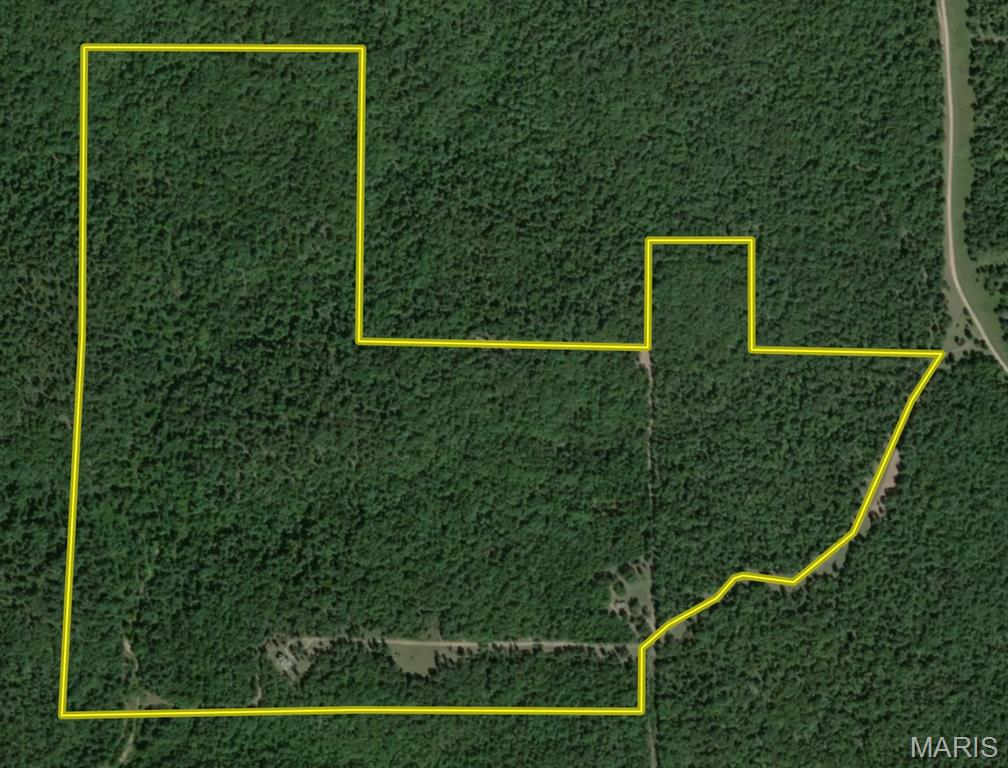 3403 Ripley Bb-2 Doniphan, MO 63935 - Photo 97 of 99