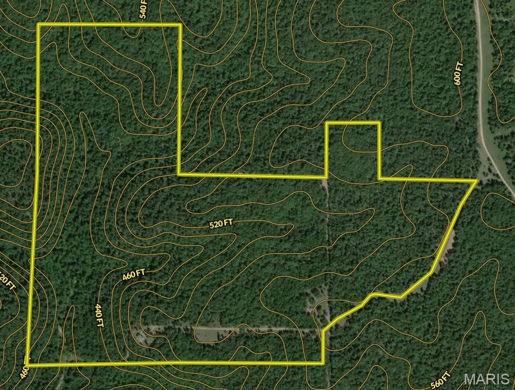 3403 Ripley Bb-2 Doniphan, MO 63935 - Photo 98 of 99