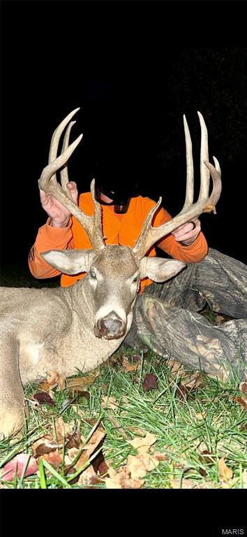 3403 Ripley Bb-2 Doniphan, MO 63935 - Photo 10 of 99