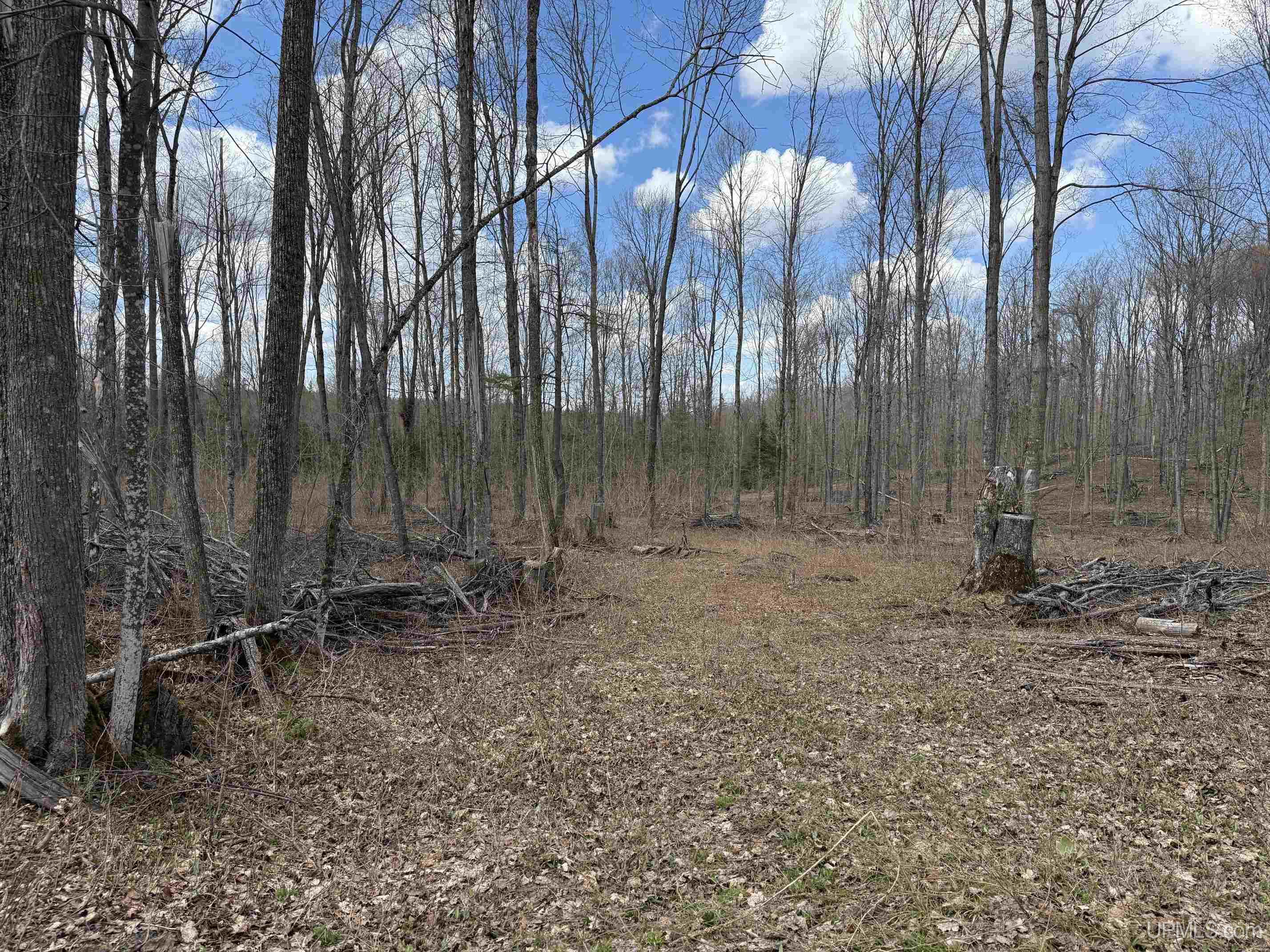 Tbdne Dog Patch Road Lanse, MI 49946 - Photo 15 of 23