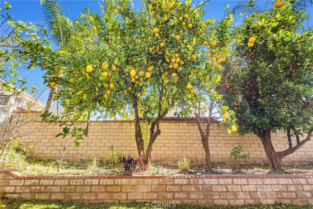7437 Red Clover Way Highland, CA 92346 - Photo 26 of 33 Make freshly squeezed orange juice for breakfast & lemonade juice for dinner!
