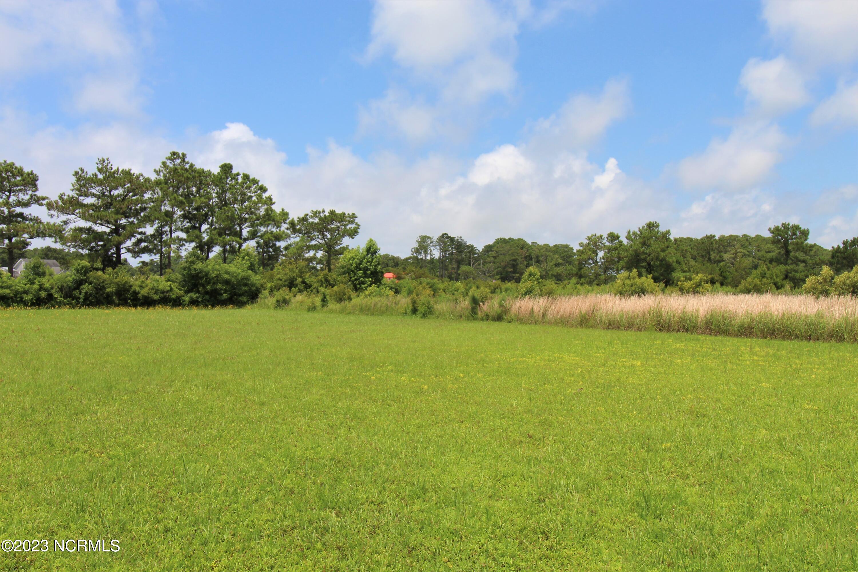 208 Landing Road Beaufort, NC 28516 - Photo 10 of 14 No clearing necessary