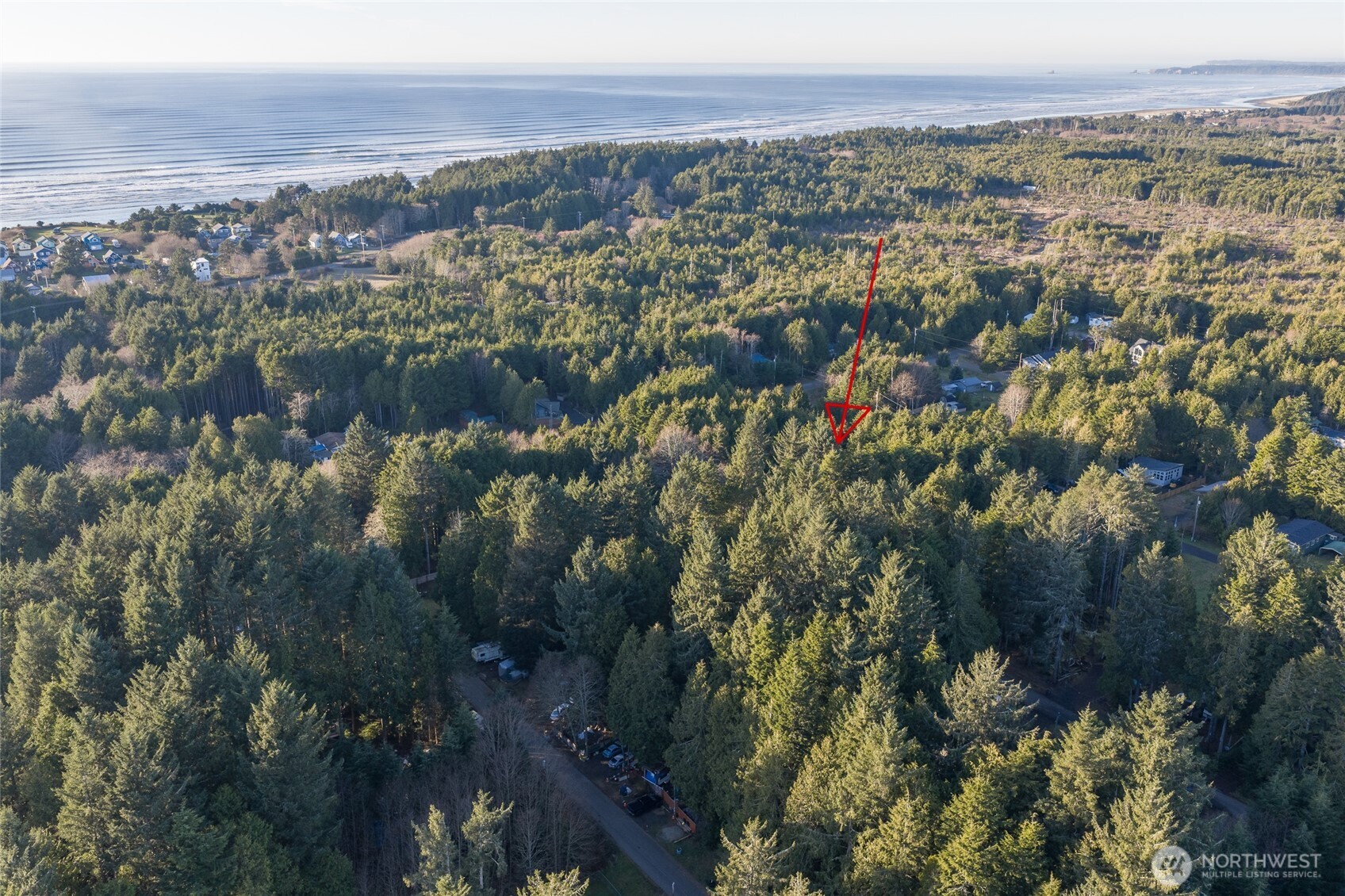 40 Robin Lane Pacific Beach, WA 98571 - Photo 3 of 13 an aerial view of residential houses with outdoor space and trees