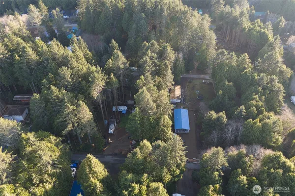 a view of a lot of trees and houses