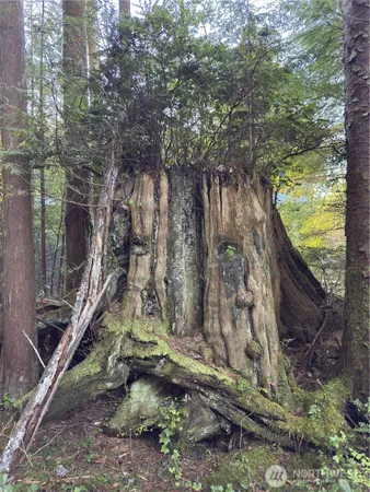 a picture of a wall with a white wall