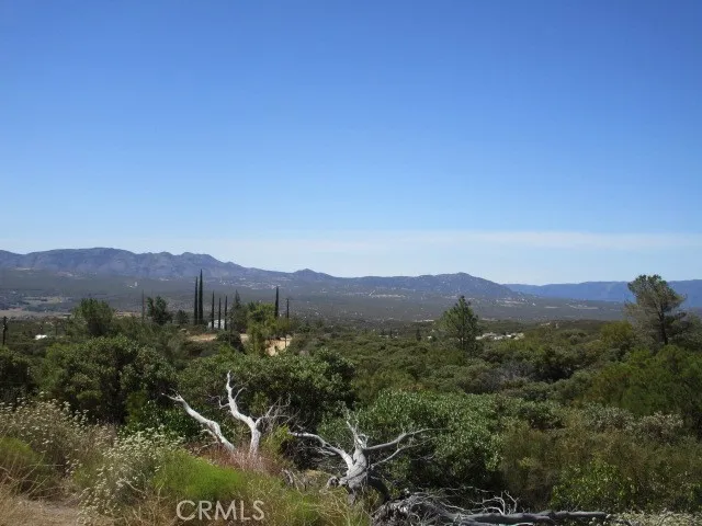 38111 Manzanita Road Anza, CA 92539 - Photo 25 of 25 a view of a mountain range with lush green forest