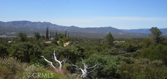 38111 Manzanita Road Anza, CA 92539 - Photo 3 of 25 a view of a lush green hillside and a building