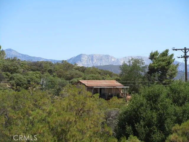 38111 Manzanita Road Anza, CA 92539 - Photo 4 of 25 a view of a lush green hillside and a building in the background