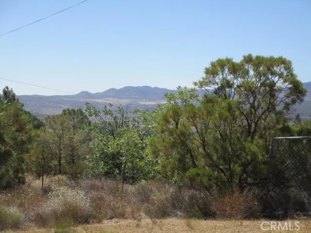 38111 Manzanita Road Anza, CA 92539 - Photo 6 of 25 a view of a mountain range with trees in the background