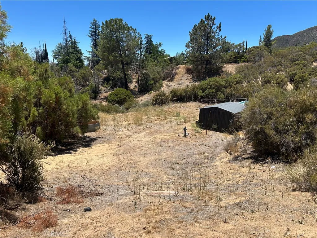 38111 Manzanita Road Anza, CA 92539 - Photo 8 of 25 a backyard of a house with lots of green space