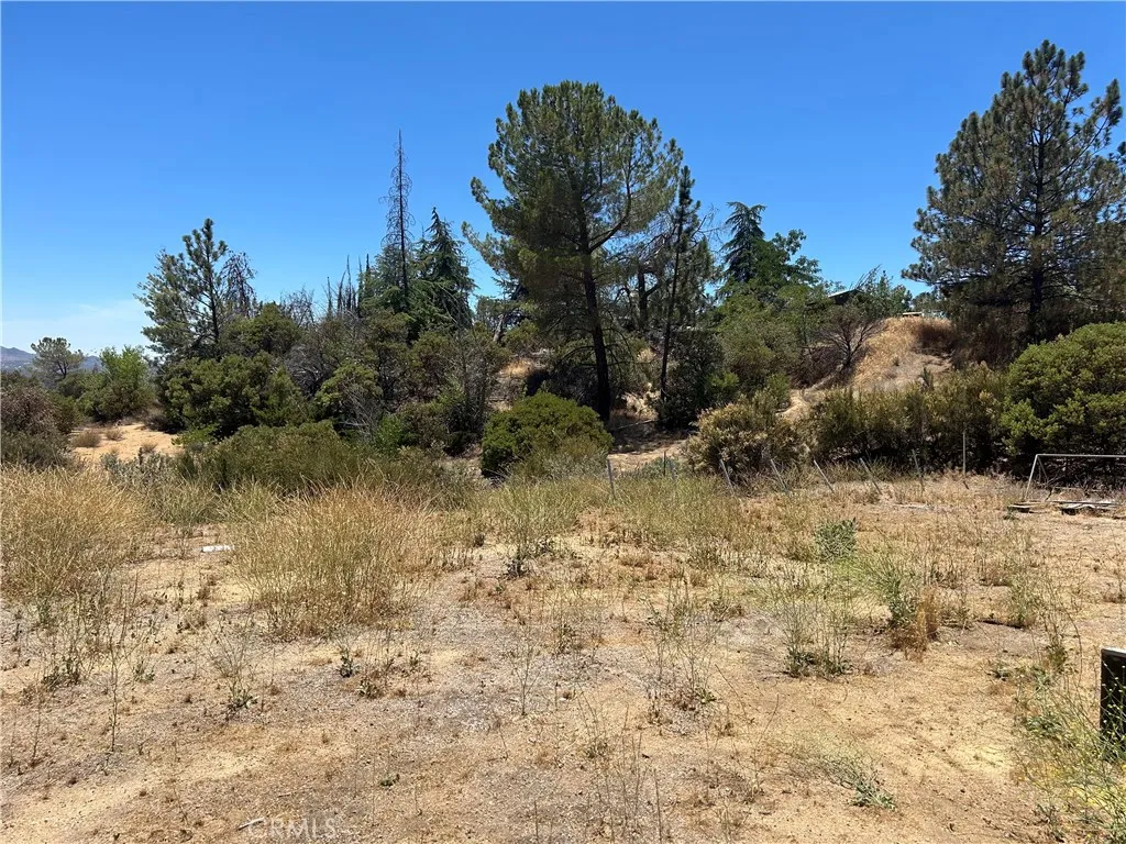 38111 Manzanita Road Anza, CA 92539 - Photo 9 of 25 a view of a lake view