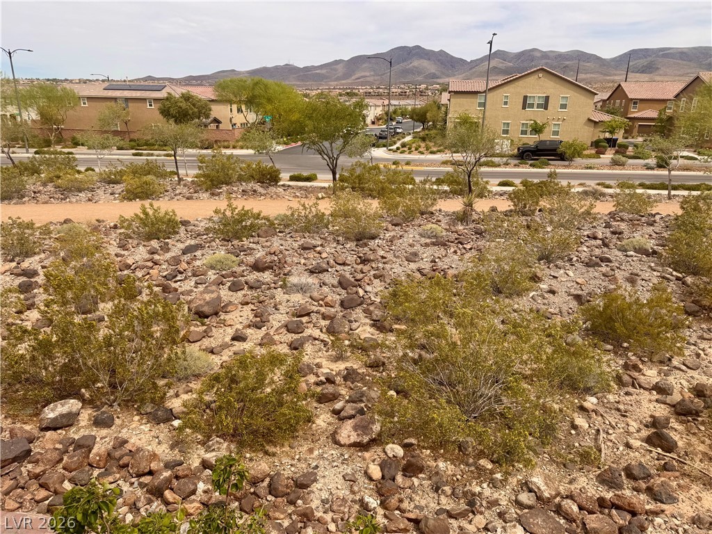 2848 Alenga Street Henderson, NV 89044 - Photo 20 of 25