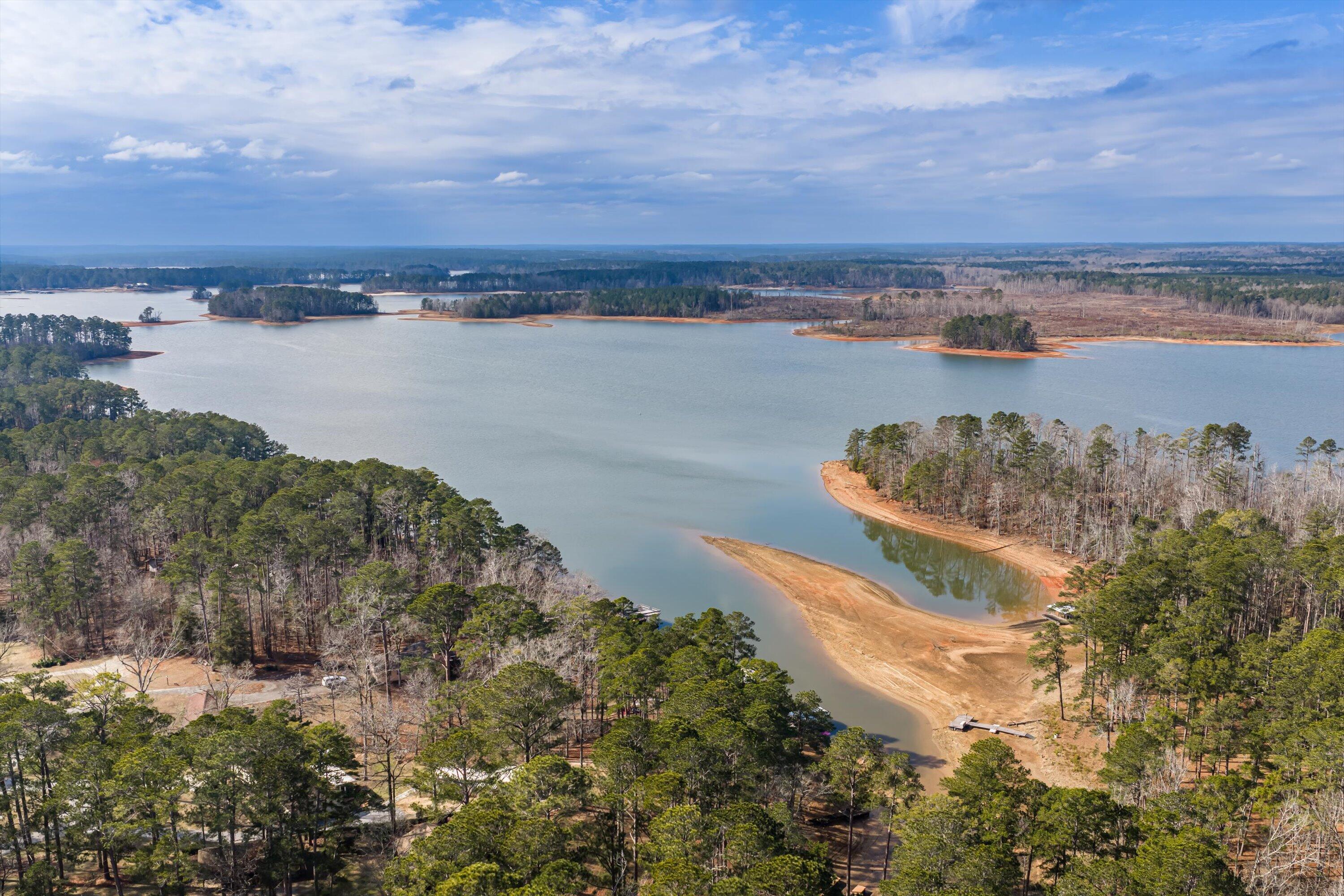 5977 Rousseau Creek Road Thomson, GA 30824 - Photo 31 of 37 17-DJI_20260123132503_0049_D-HDR