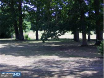 365 Almond Road Pittsgrove, NJ 08318 - Photo 9 of 10 Gallery Image 9