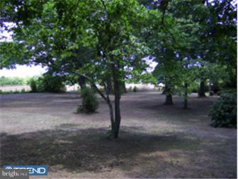 365 Almond Road Pittsgrove, NJ 08318 - Photo 10 of 10 Gallery Image 10
