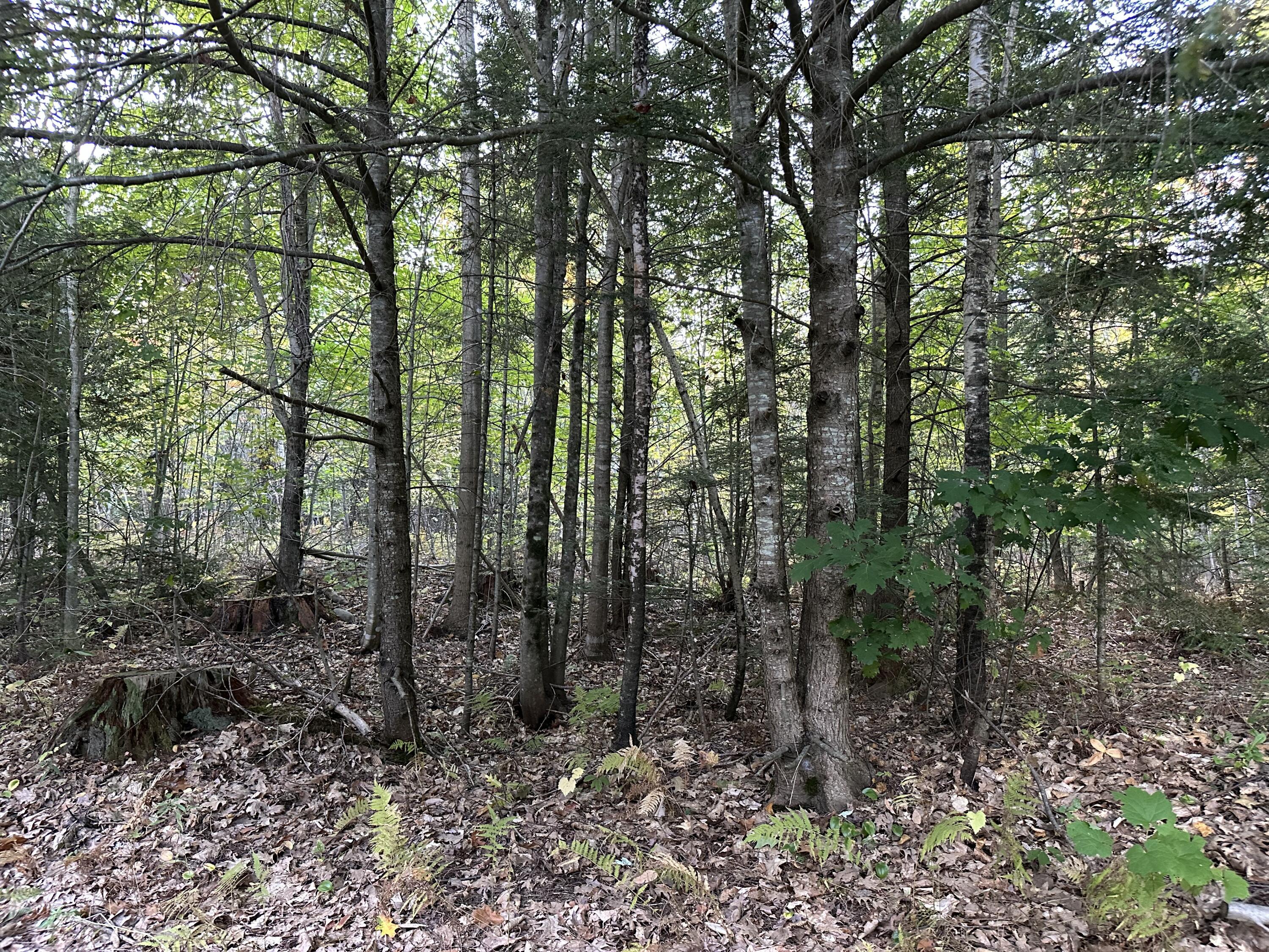 571 Back Road Skowhegan, ME 04976 - Photo 34 of 36 IMG_1493