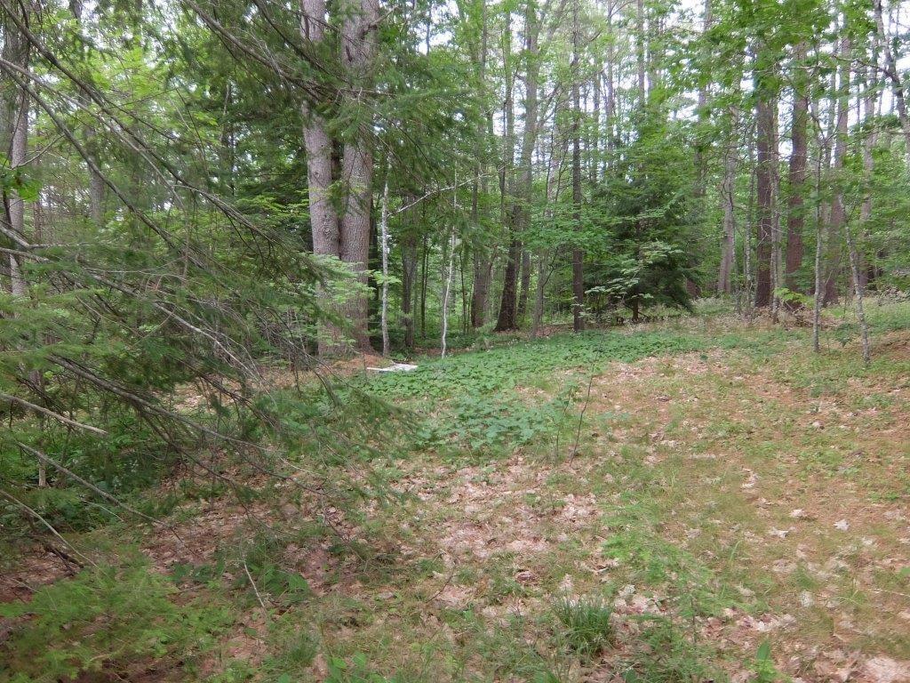 108 Shore Road Edgecomb, ME 04556 - Photo 5 of 35 Photo