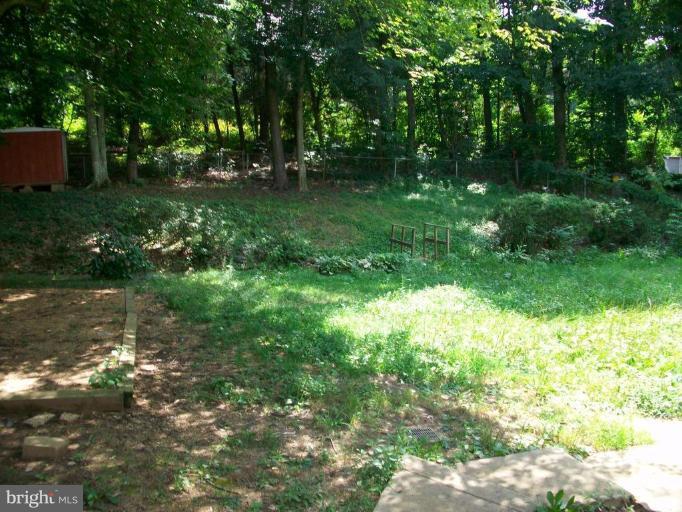 3915 Findley Road Woodbridge, VA 22193 - Photo 7 of 22 Fenced Yard