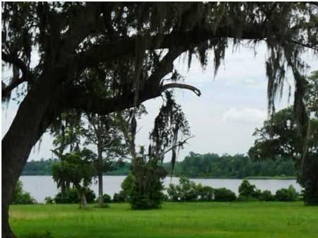324 Fox Ridge Lane Moncks Corner, SC 29461 - Photo 22 of 30 fox lake