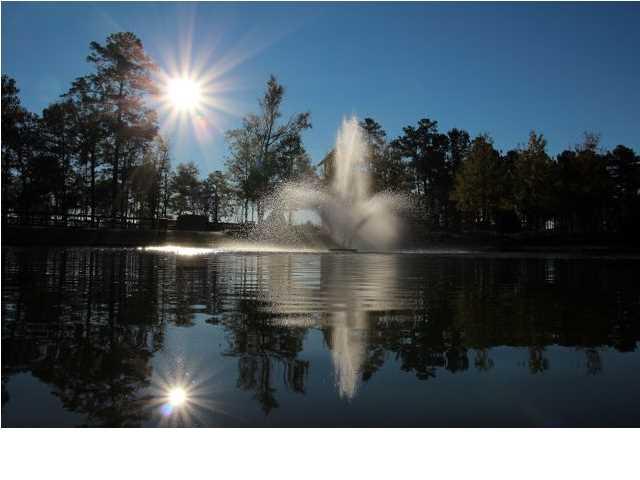 324 Fox Ridge Lane Moncks Corner, SC 29461 - Photo 27 of 30 foxbank Entrance pond 3