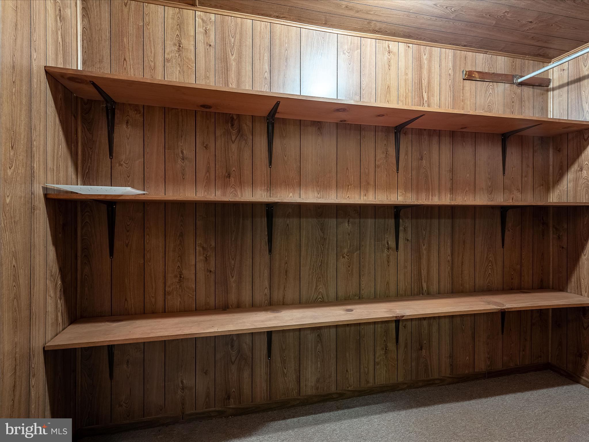 5240 Winchester Grade Road Berkeley Springs, WV 25411 - Photo 27 of 58 Basement Storage