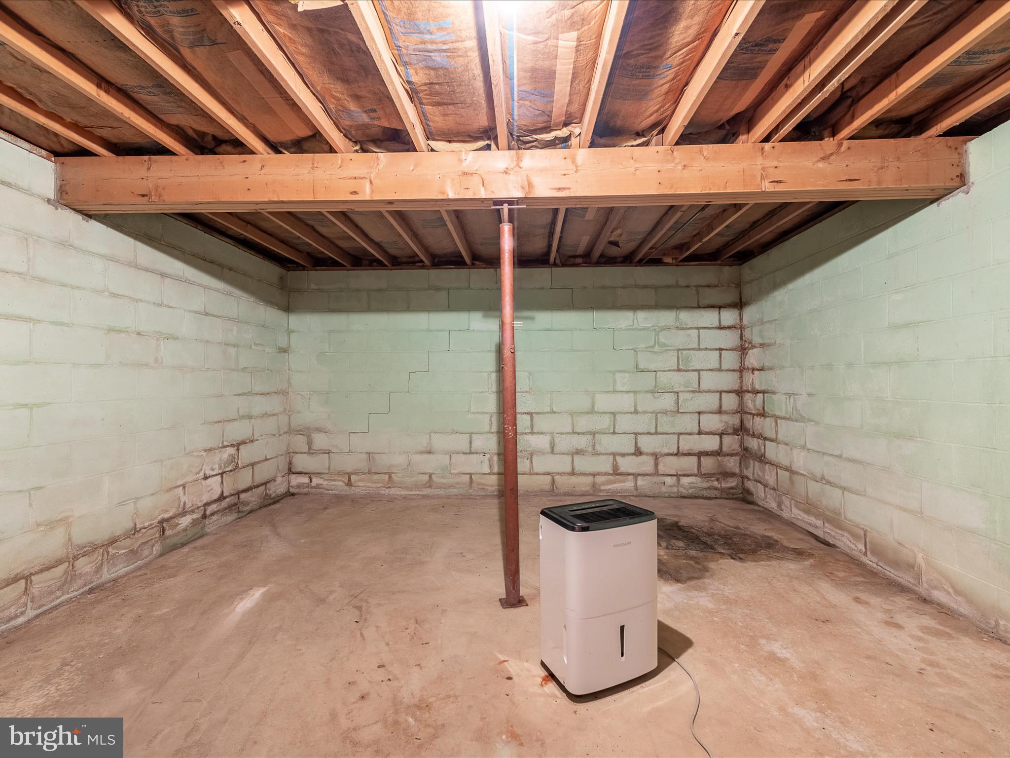 5240 Winchester Grade Road Berkeley Springs, WV 25411 - Photo 30 of 58 Basement Storage