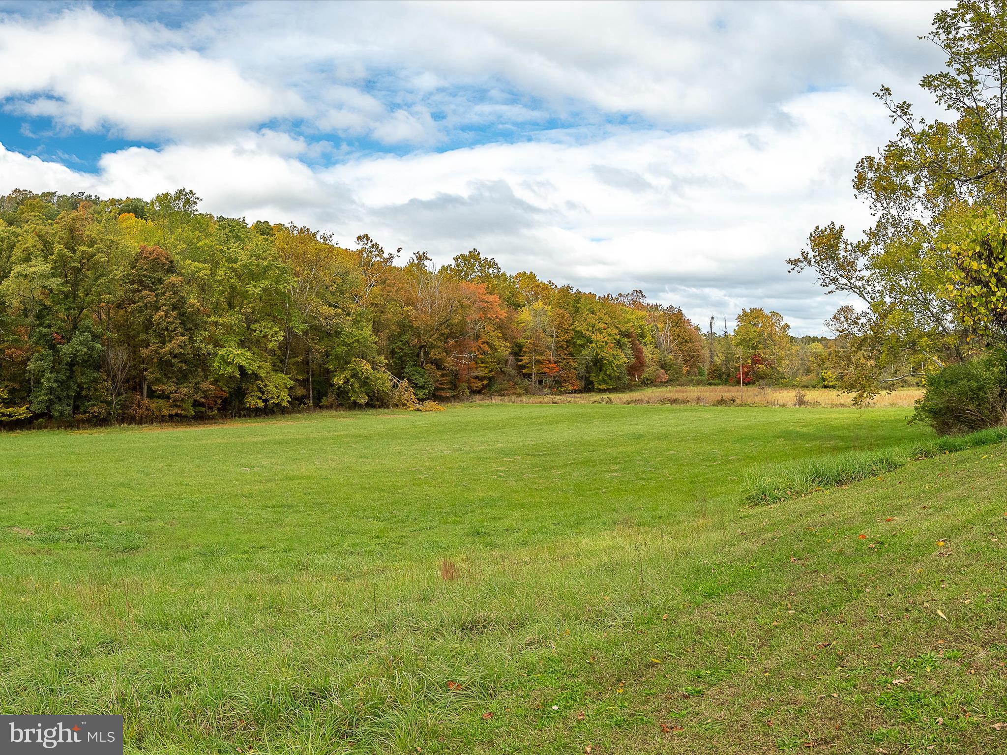 5240 Winchester Grade Road Berkeley Springs, WV 25411 - Photo 57 of 58 Backyard View