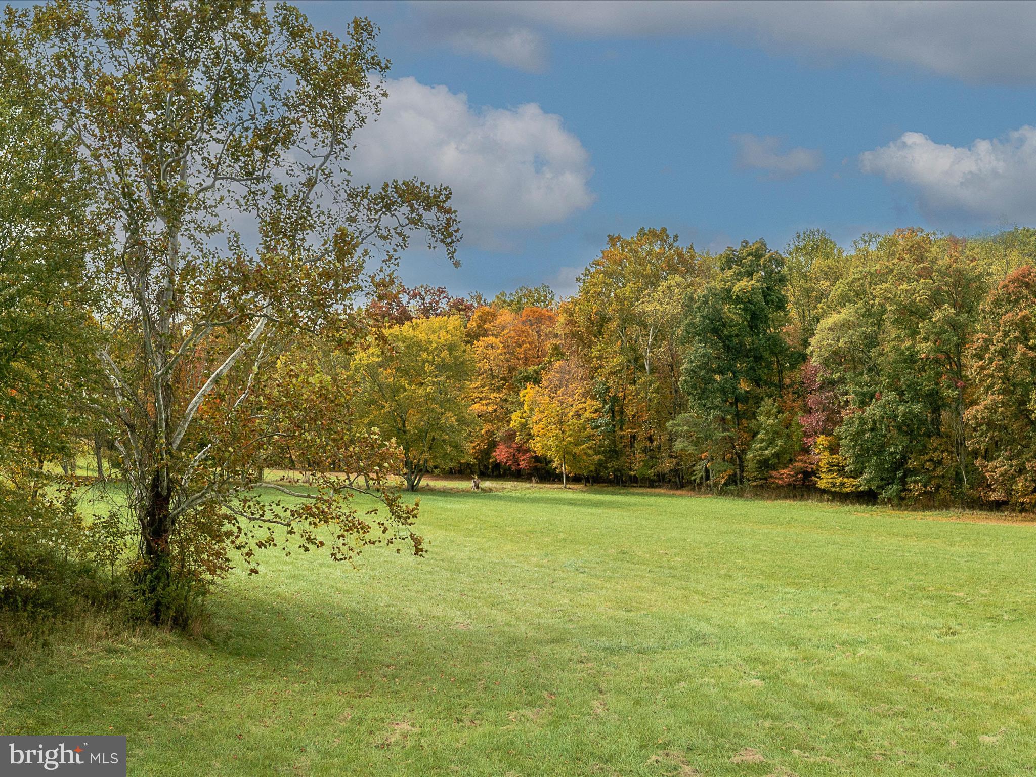 5240 Winchester Grade Road Berkeley Springs, WV 25411 - Photo 58 of 58 Backyard View