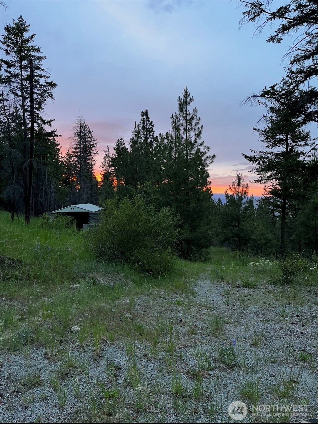 0 Broken Spoke Road Tonasket, WA 98855 - Photo 3 of 39 a view of a garden with a tree in the background