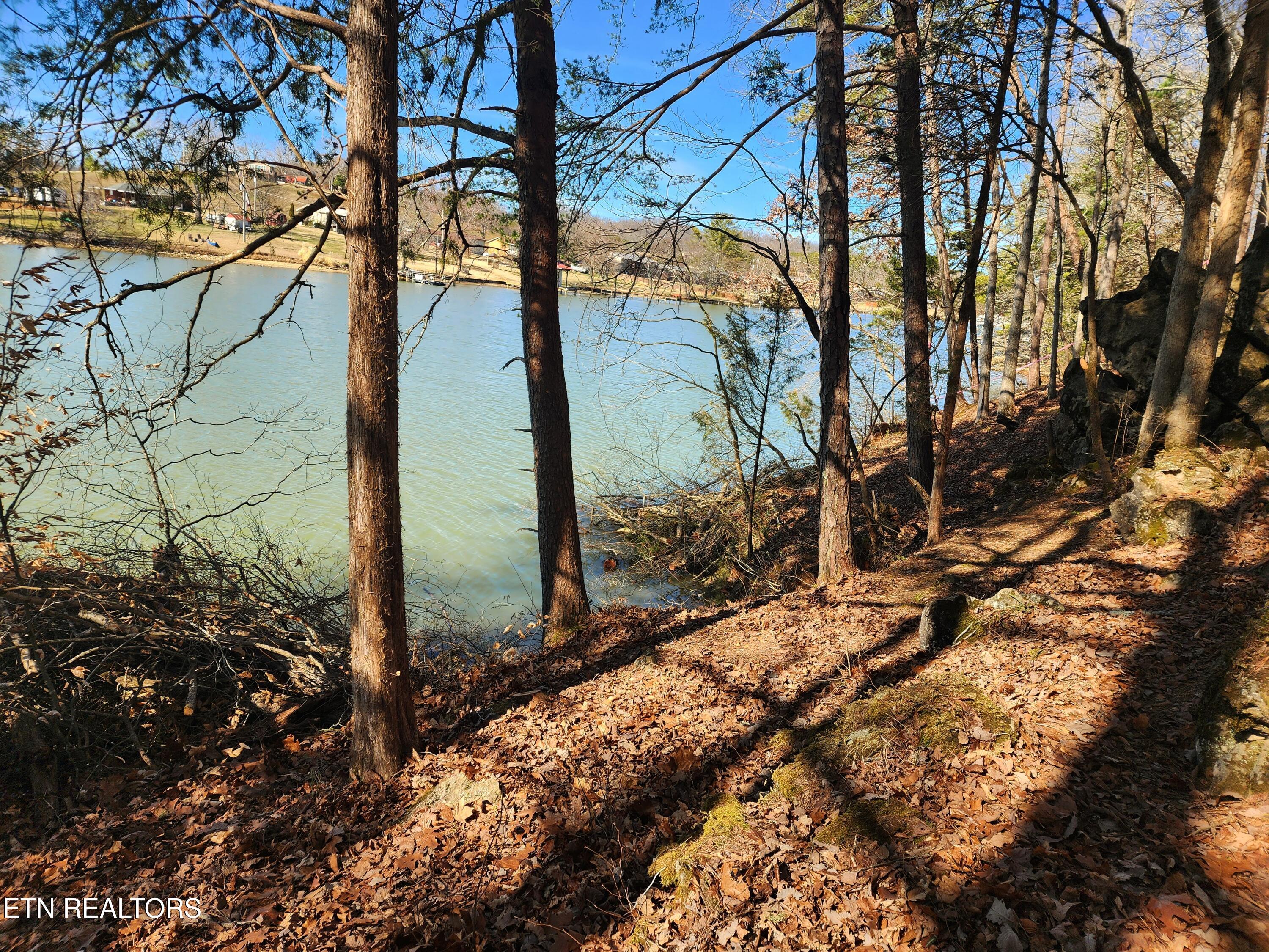 130 Hart Orchard Road Kingston, TN 37763 - Photo 11 of 50 Shoreline