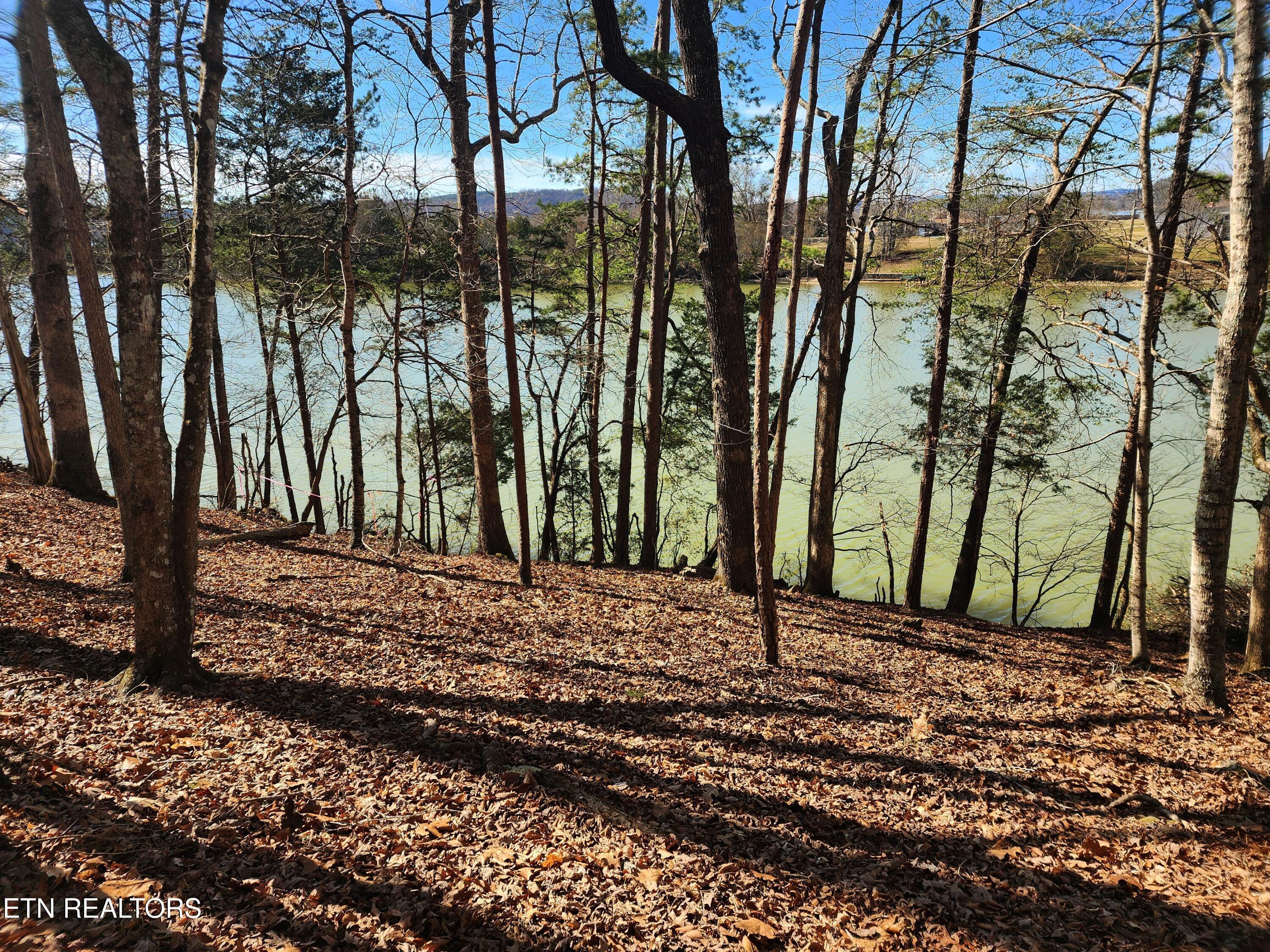 130 Hart Orchard Road Kingston, TN 37763 - Photo 12 of 50 Views