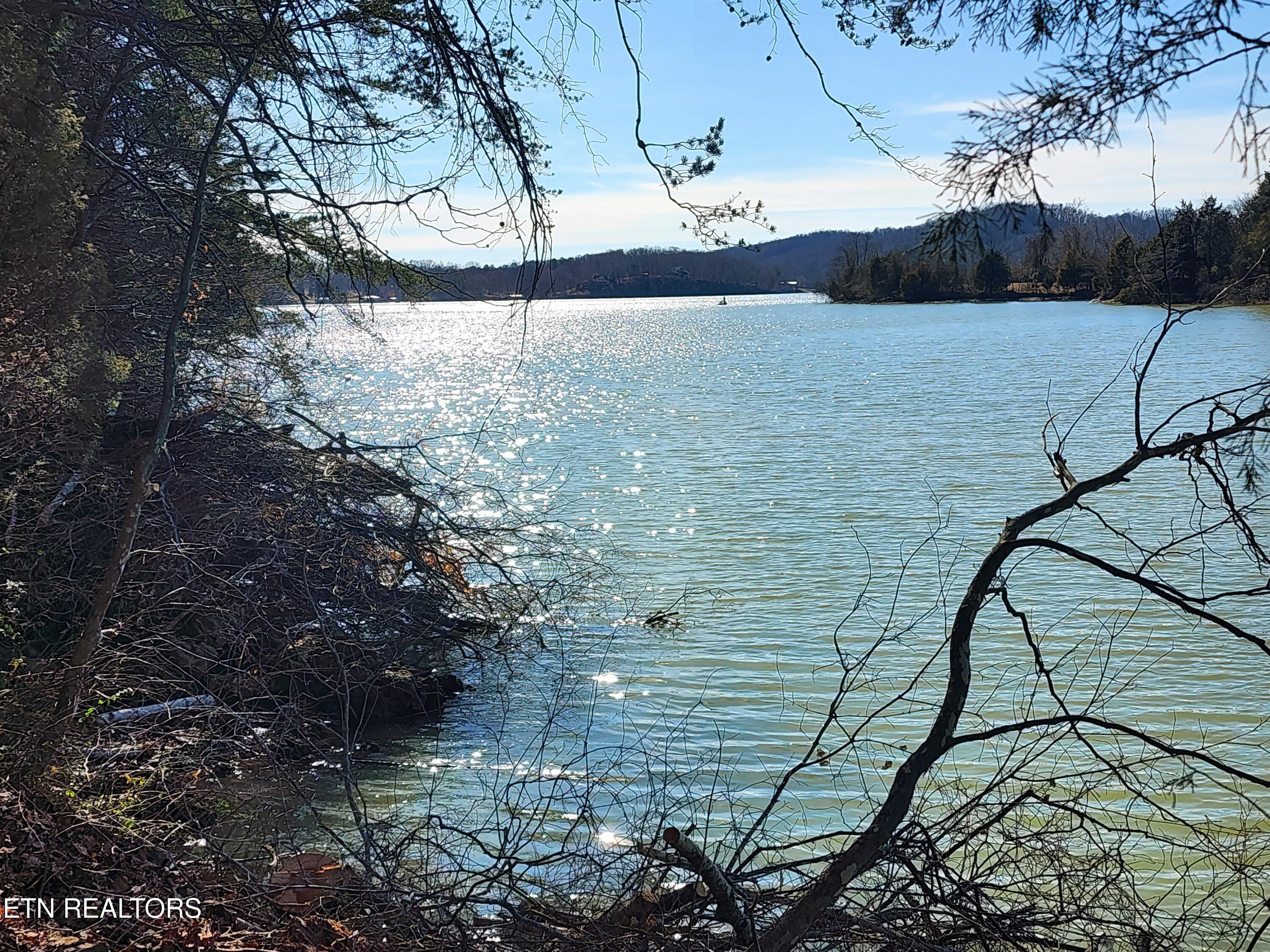 130 Hart Orchard Road Kingston, TN 37763 - Photo 13 of 50 Shoreline