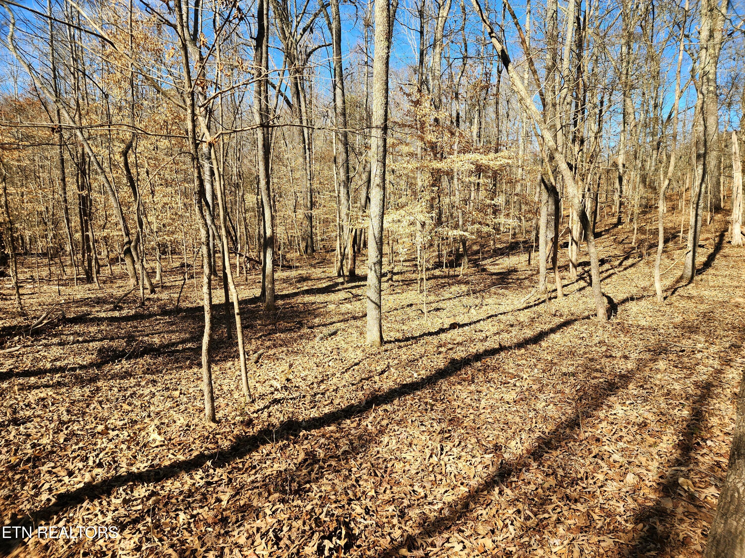 130 Hart Orchard Road Kingston, TN 37763 - Photo 14 of 50 20250302_145131