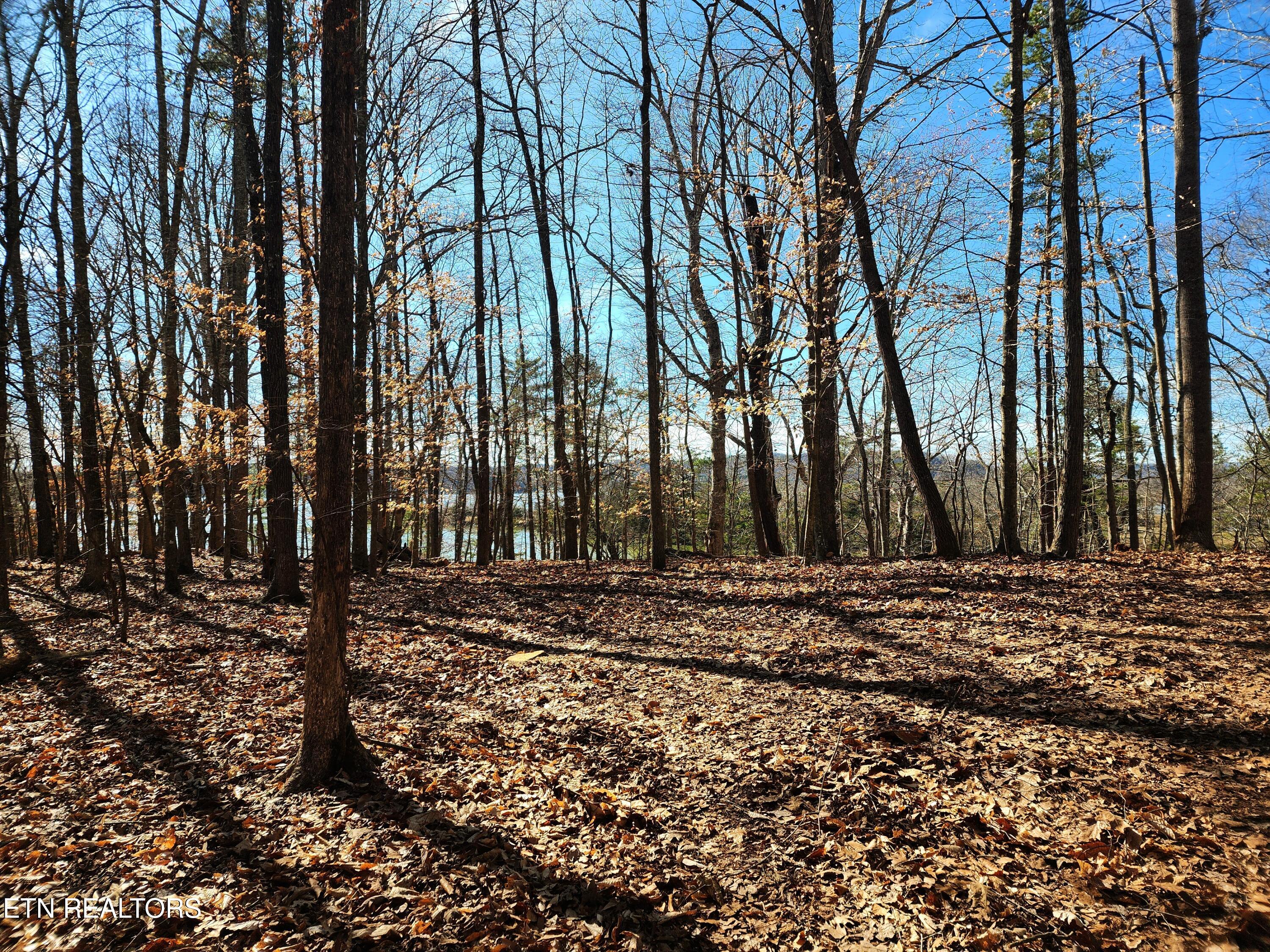 130 Hart Orchard Road Kingston, TN 37763 - Photo 20 of 50 Building Site