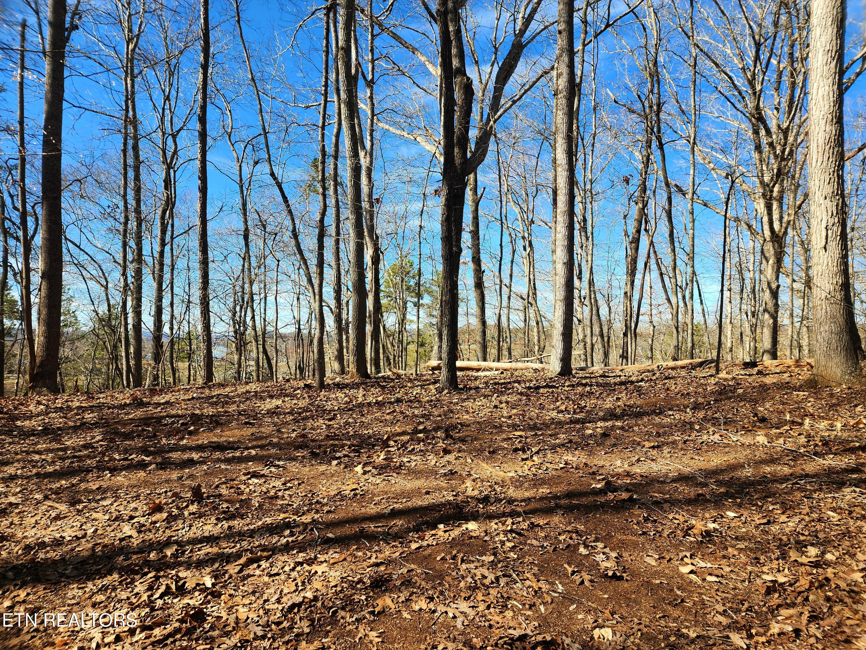 130 Hart Orchard Road Kingston, TN 37763 - Photo 21 of 50 Building Site