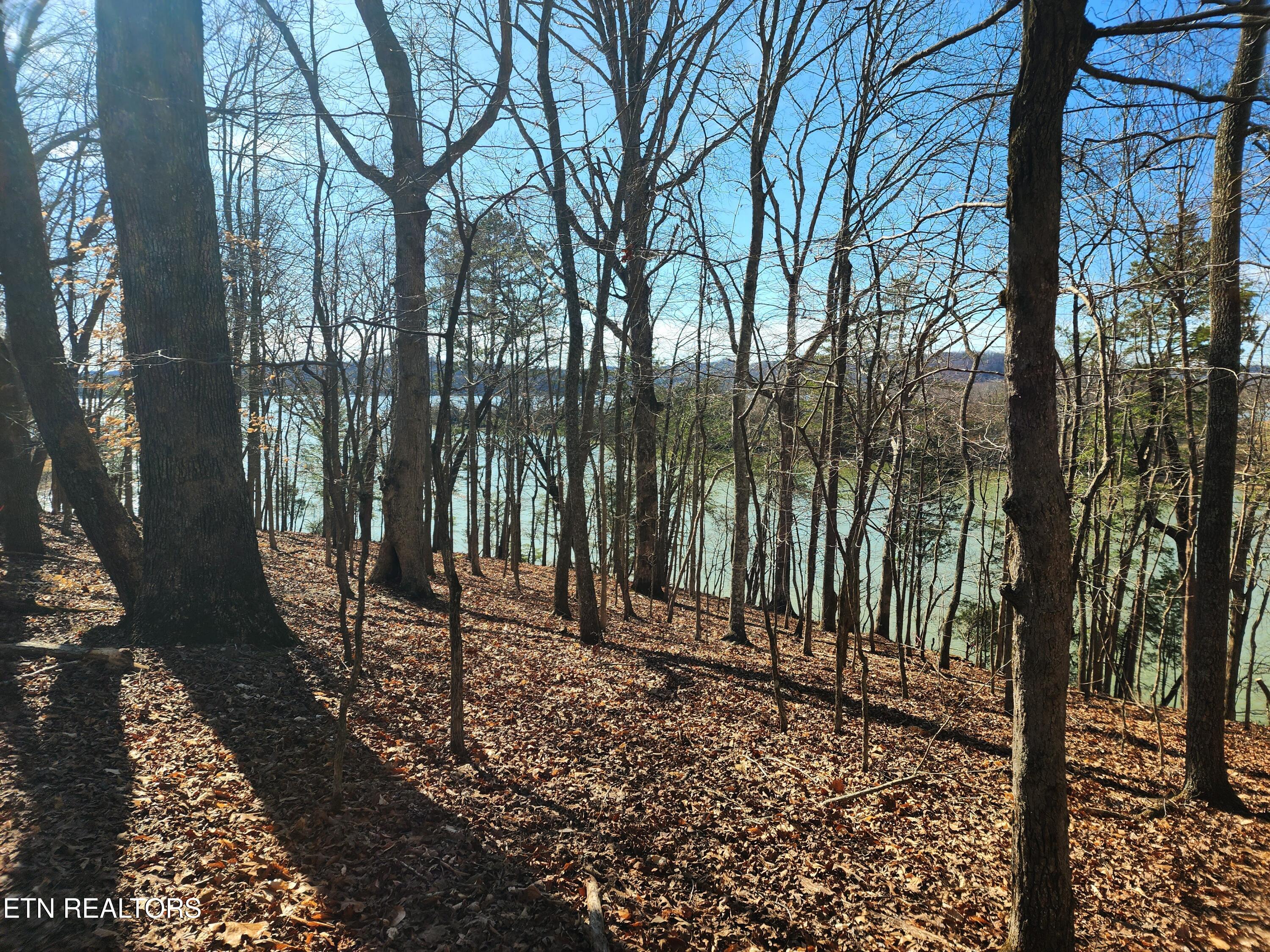 130 Hart Orchard Road Kingston, TN 37763 - Photo 23 of 50 Views