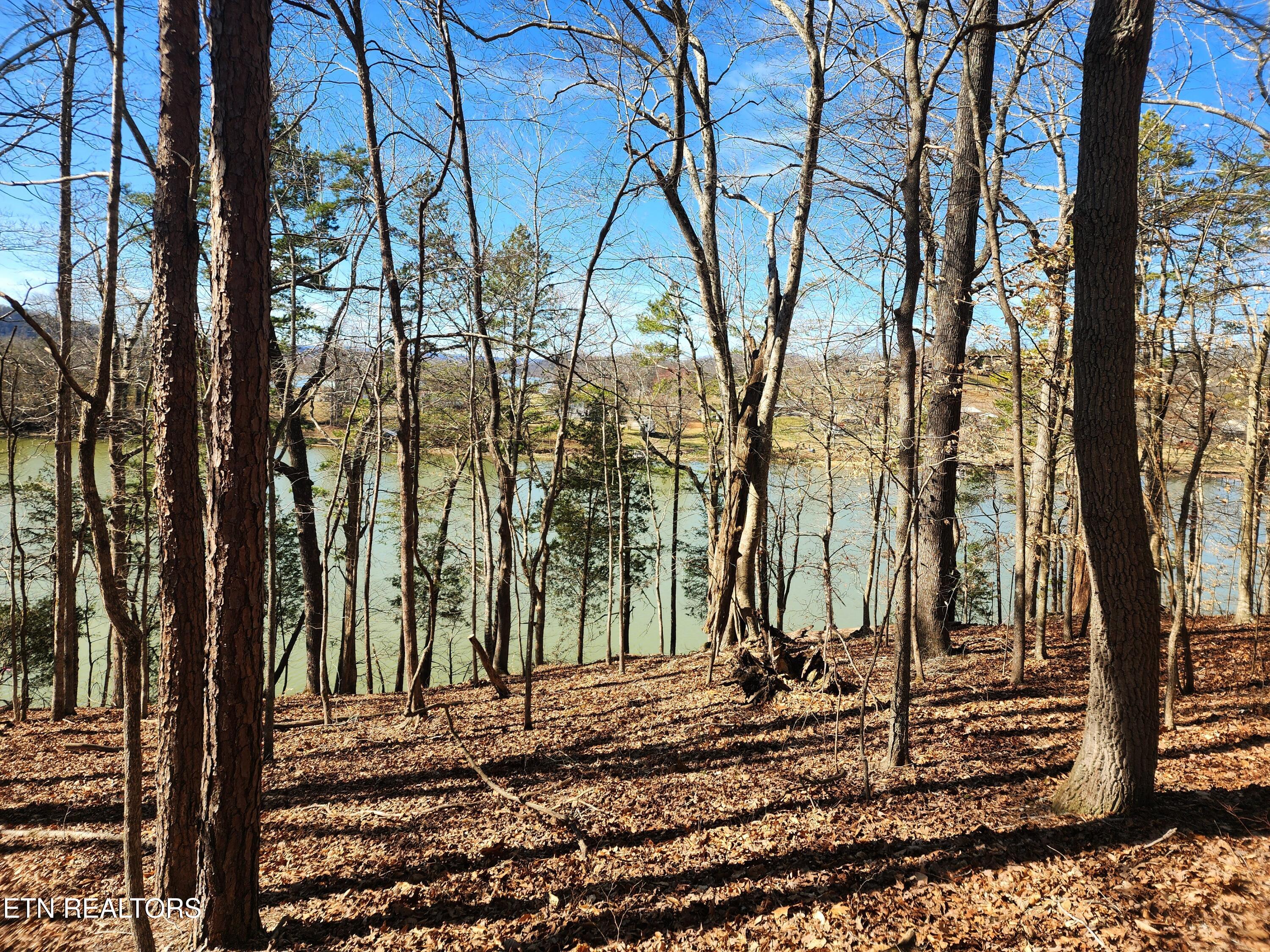130 Hart Orchard Road Kingston, TN 37763 - Photo 24 of 50 Views