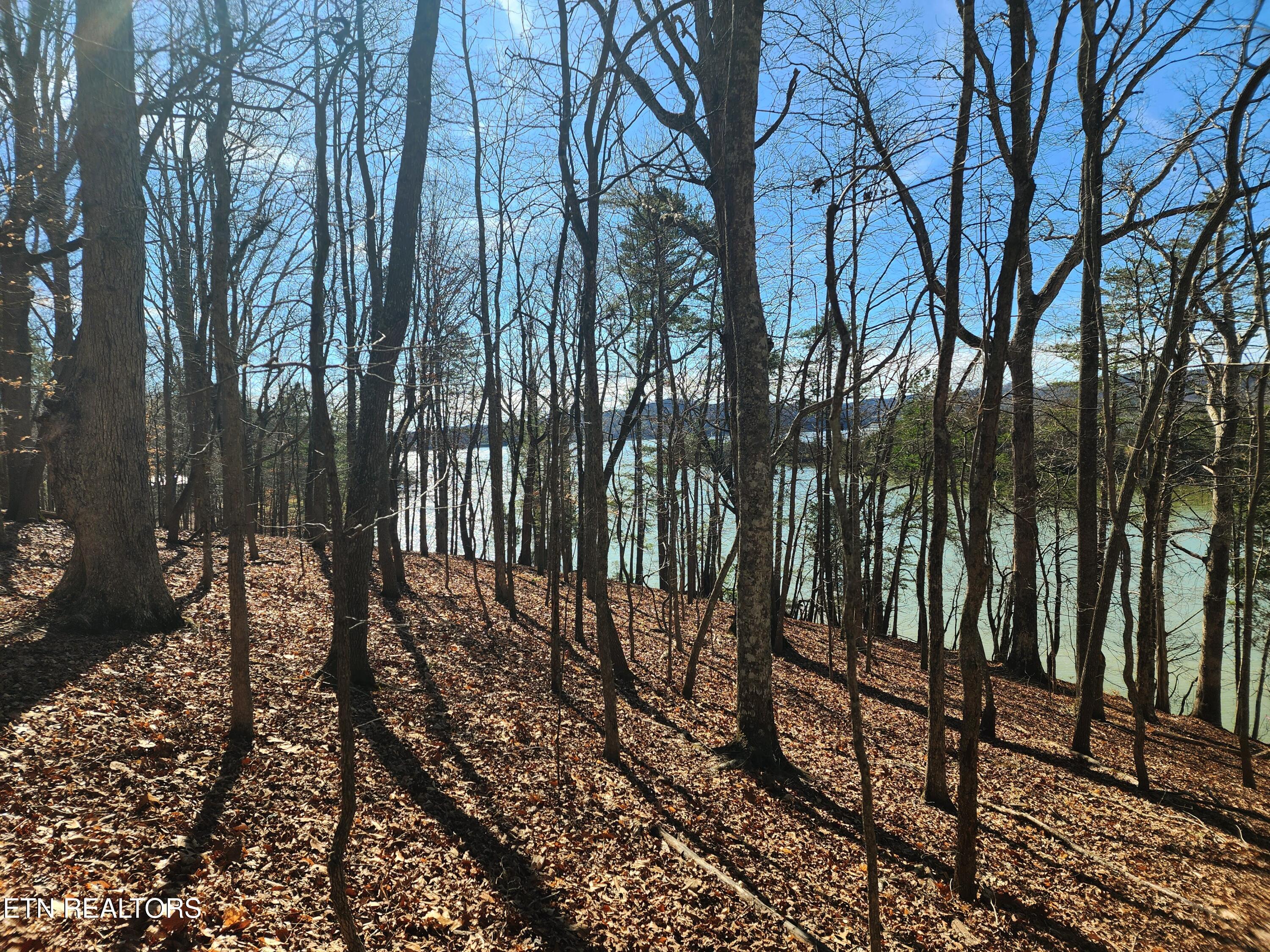 130 Hart Orchard Road Kingston, TN 37763 - Photo 25 of 50 Views