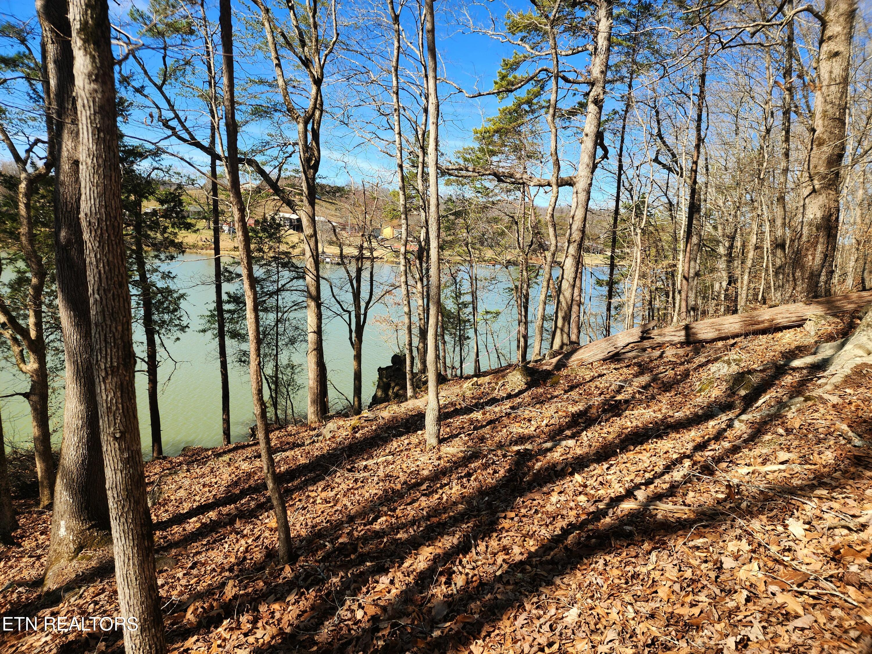 130 Hart Orchard Road Kingston, TN 37763 - Photo 26 of 50 Views