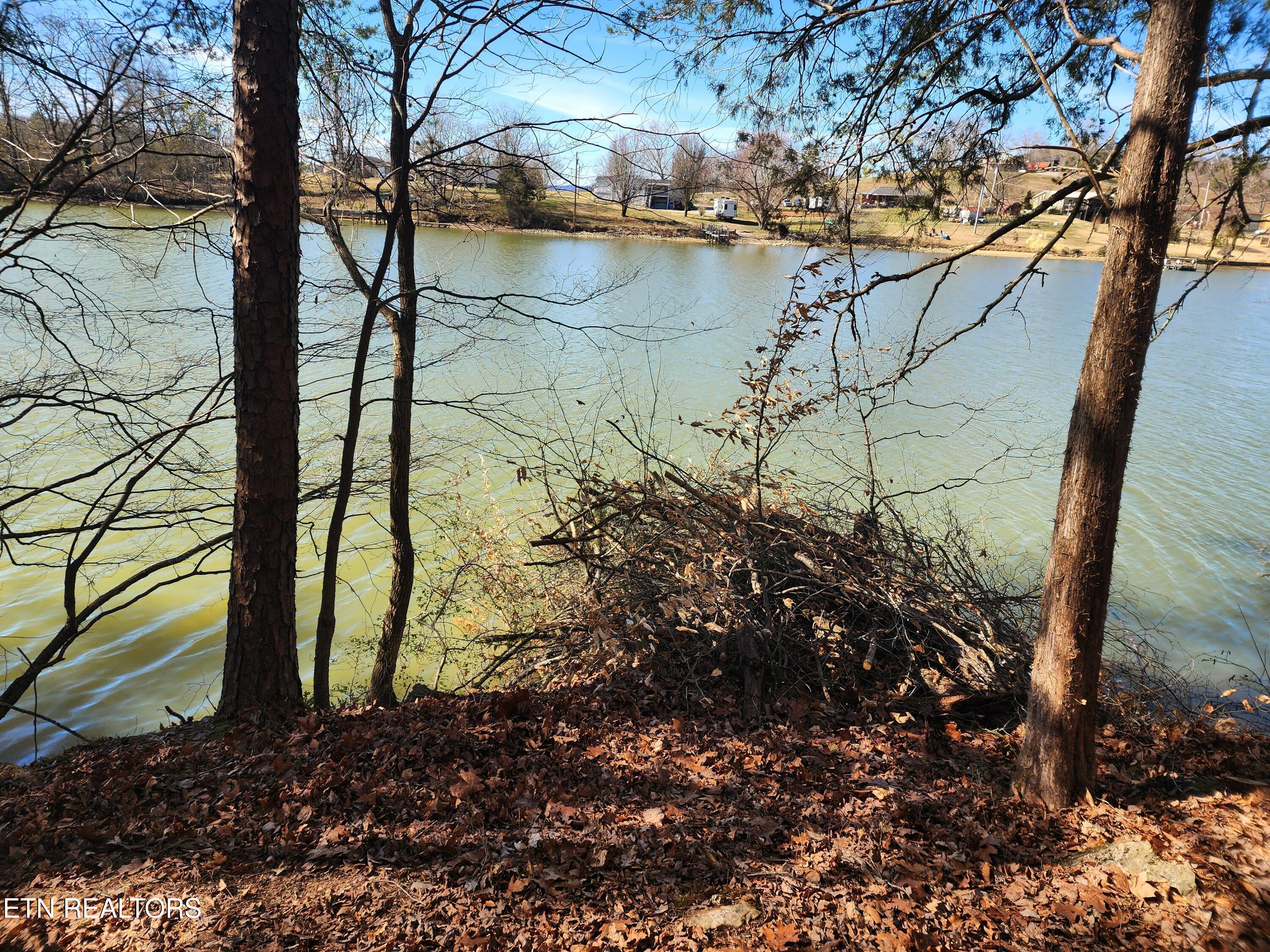 130 Hart Orchard Road Kingston, TN 37763 - Photo 27 of 50 Shoreline