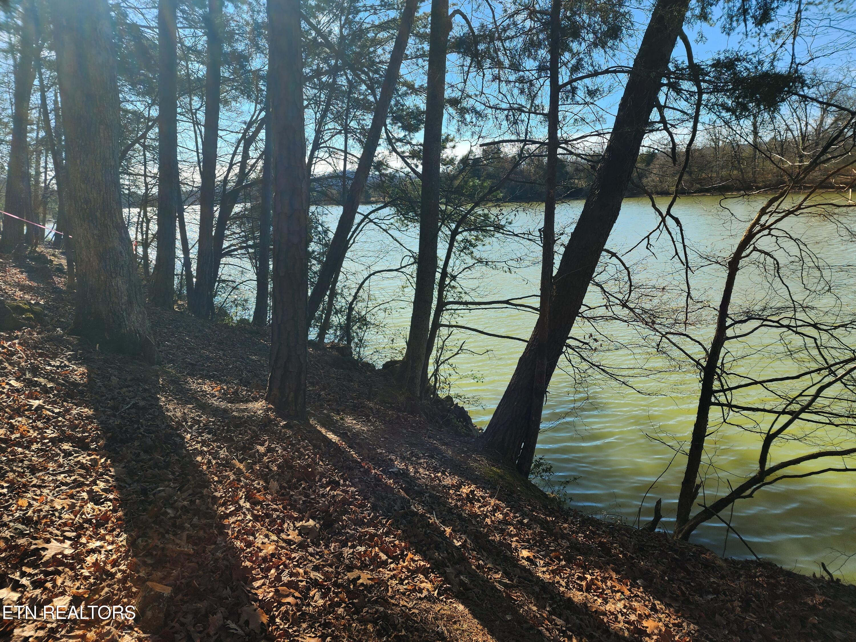 130 Hart Orchard Road Kingston, TN 37763 - Photo 28 of 50 Shoreline