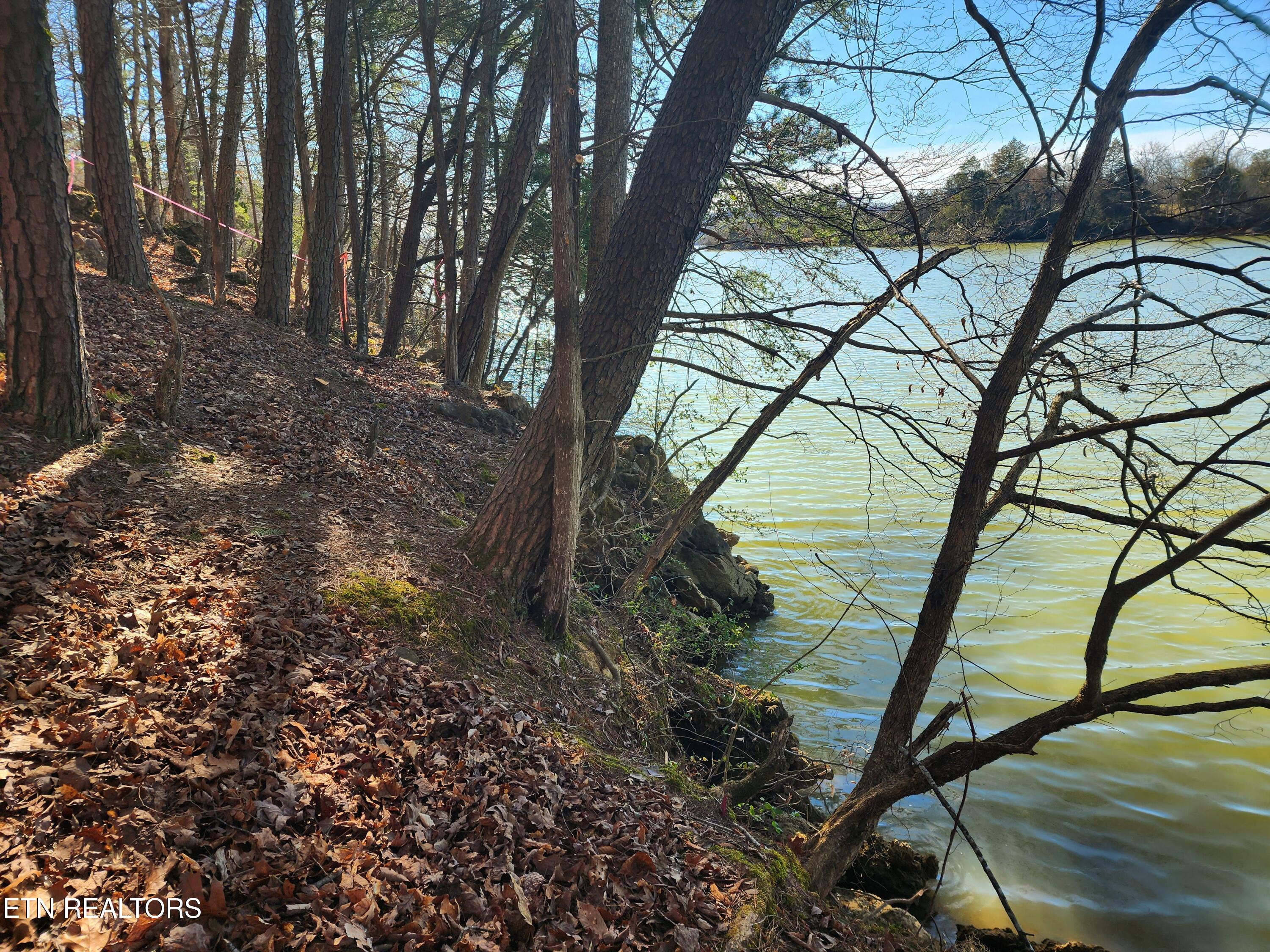 130 Hart Orchard Road Kingston, TN 37763 - Photo 29 of 50 Shoreline