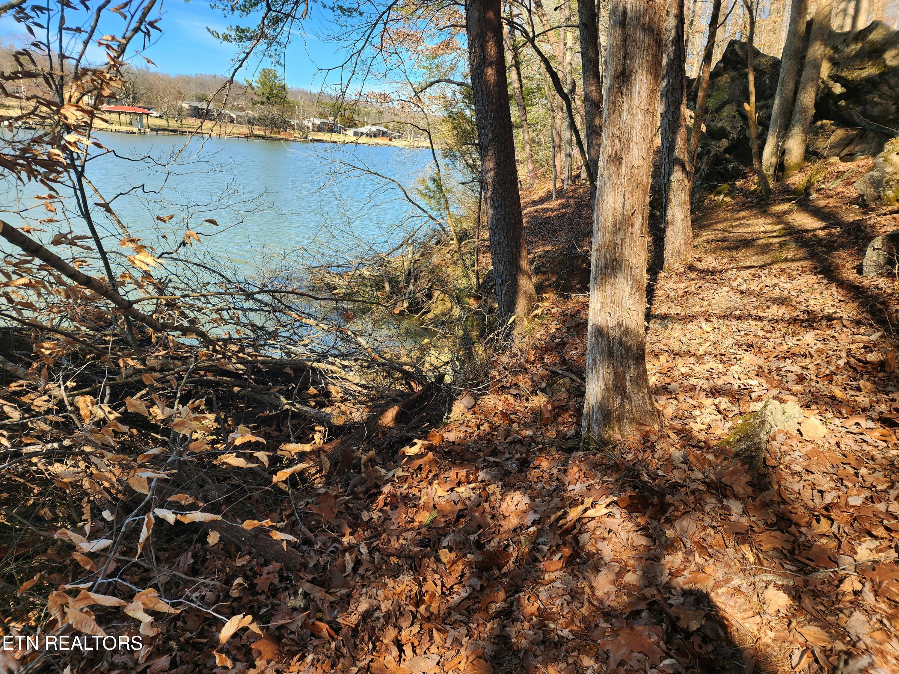 130 Hart Orchard Road Kingston, TN 37763 - Photo 30 of 50 Shoreline