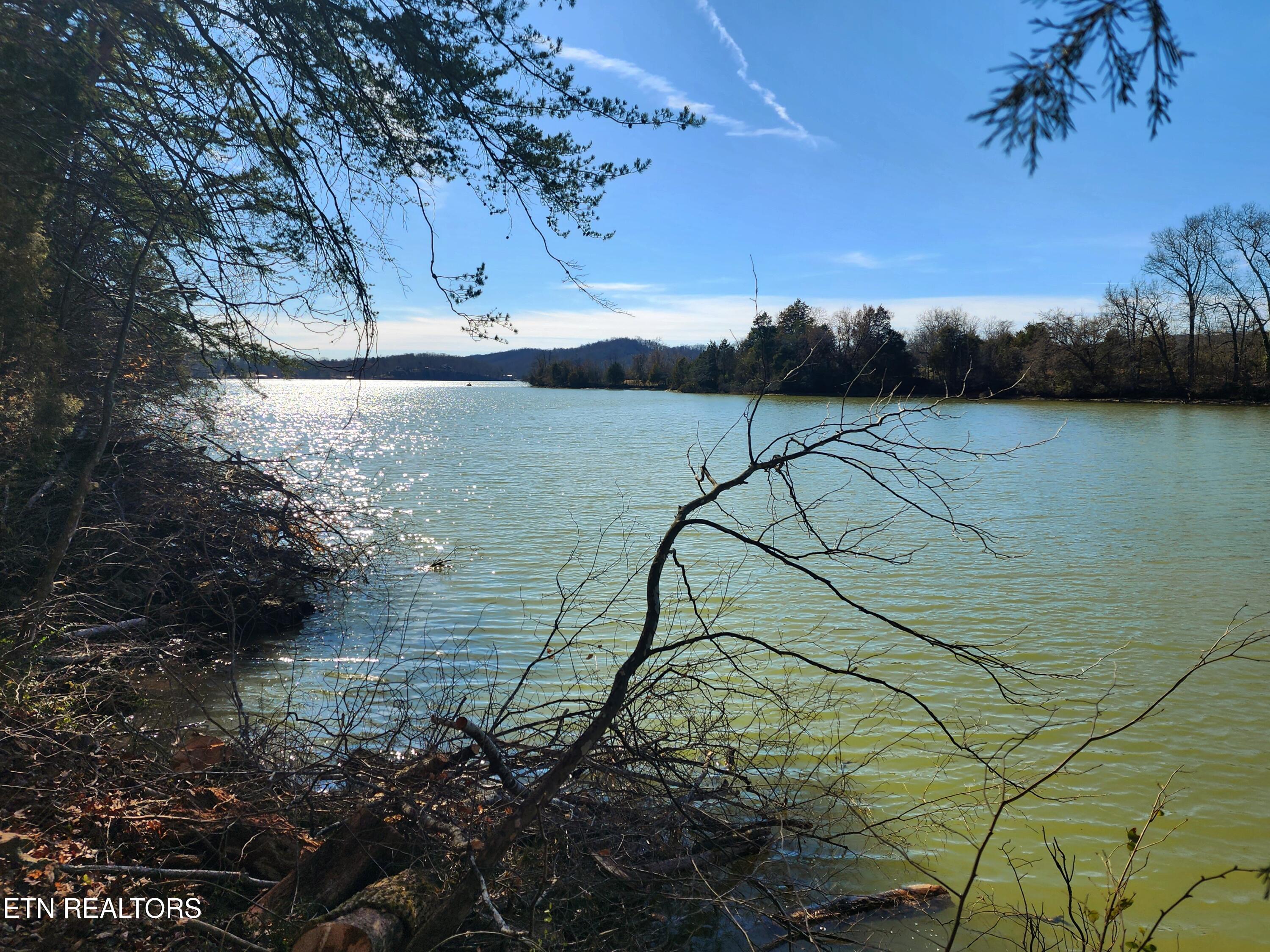 130 Hart Orchard Road Kingston, TN 37763 - Photo 32 of 50 Waterfront