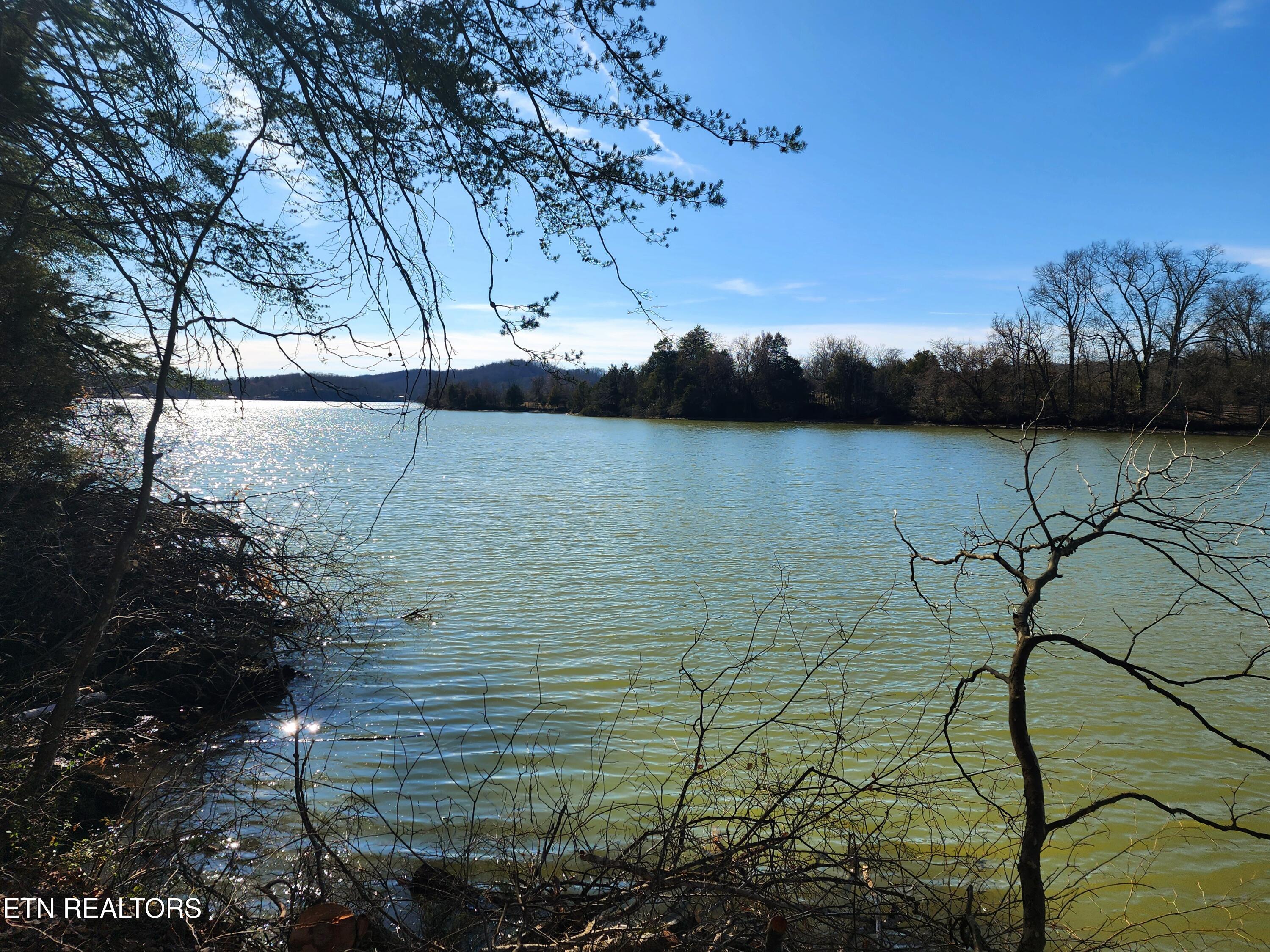 130 Hart Orchard Road Kingston, TN 37763 - Photo 38 of 50 Shoreline