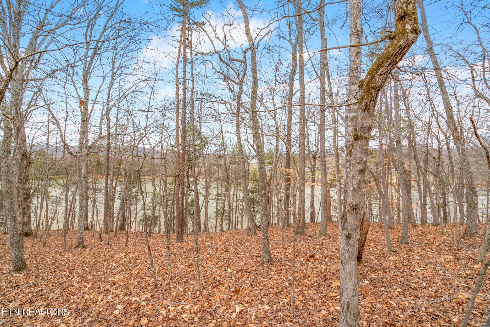 130 Hart Orchard Road Kingston, TN 37763 - Photo 48 of 50 8-web-or-mls-130 Hart Orchard Road-8