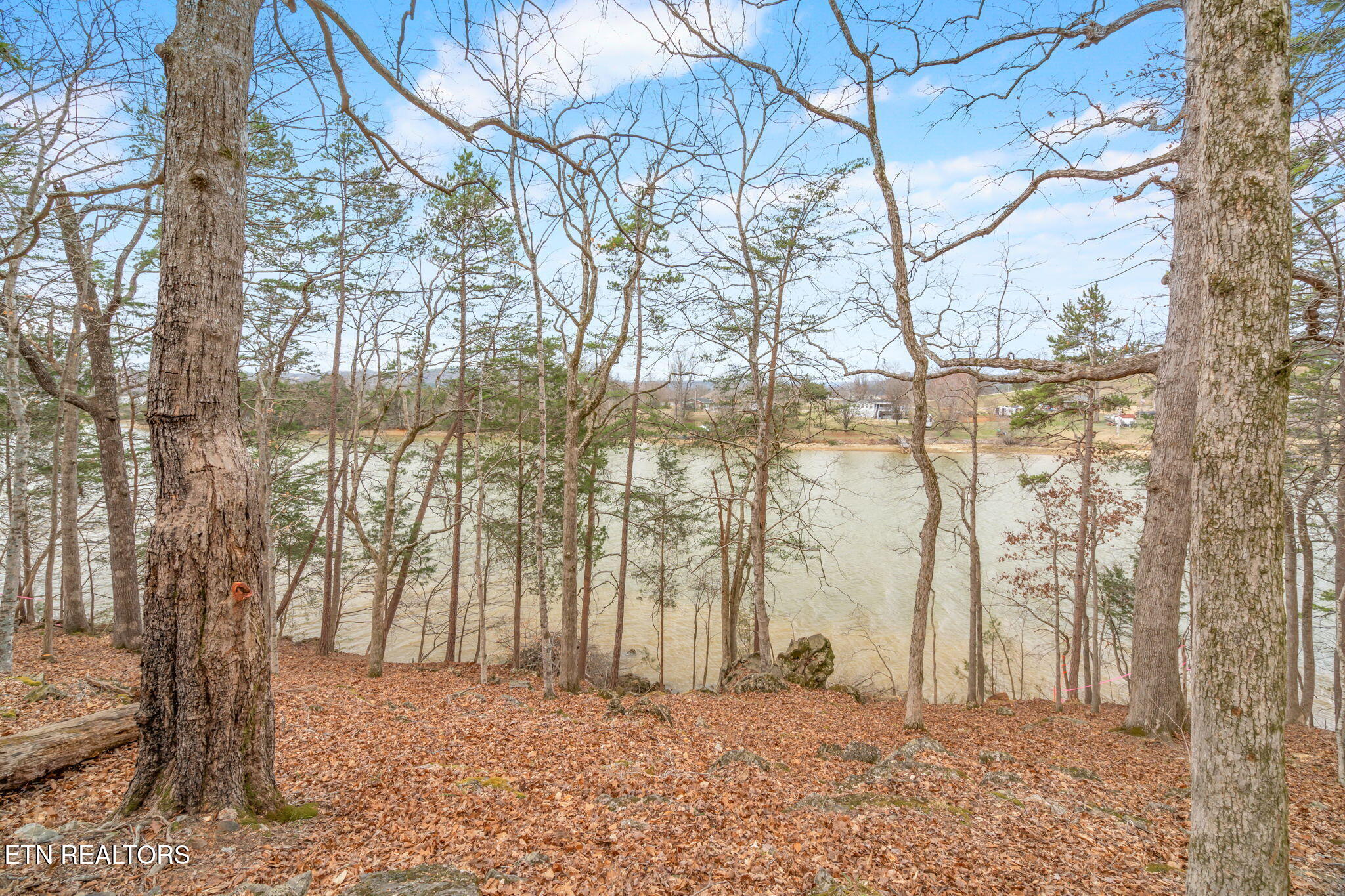 130 Hart Orchard Road Kingston, TN 37763 - Photo 49 of 50 9-web-or-mls-130 Hart Orchard Road-9