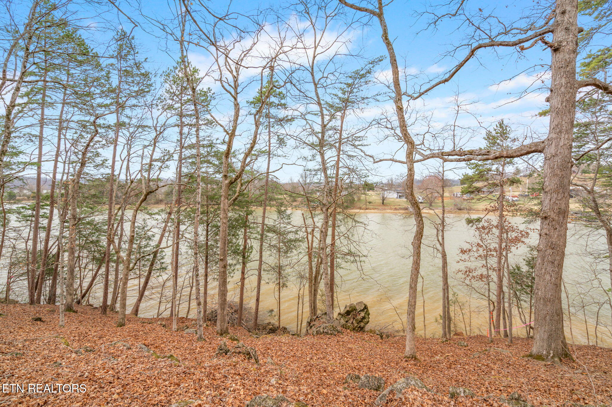 130 Hart Orchard Road Kingston, TN 37763 - Photo 6 of 50 Lakefront