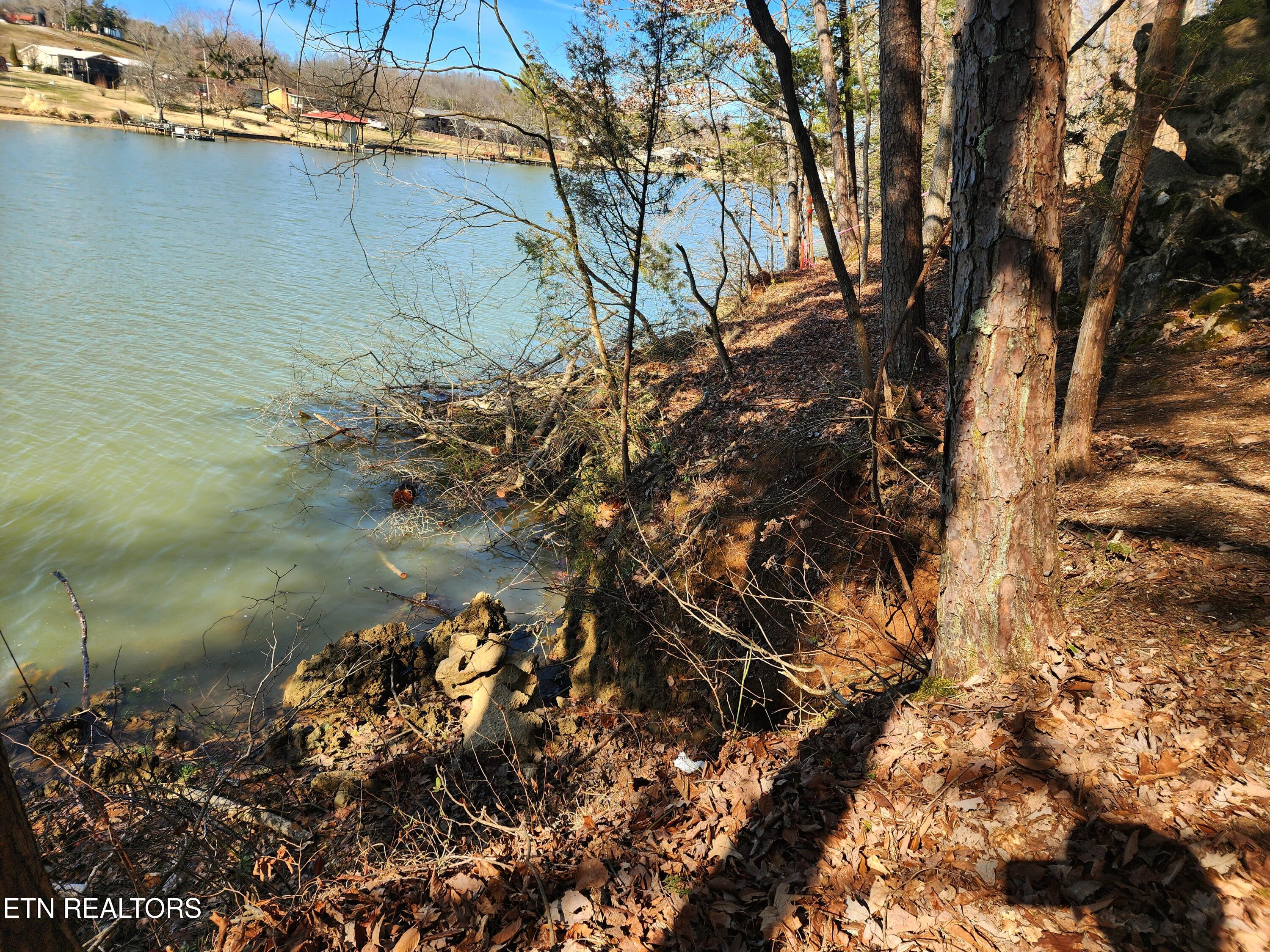 130 Hart Orchard Road Kingston, TN 37763 - Photo 9 of 50 Shoreline