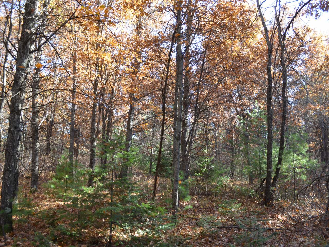 Lot 3 Point O Pines Road Tomahawk, WI 54487 - Photo 18 of 20 Gallery Image 18